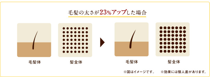 太さ育毛エッセンス3ヵ月単品使用例26%UP 太さ育毛エッセンス3ヵ月単品使用例26%UP
